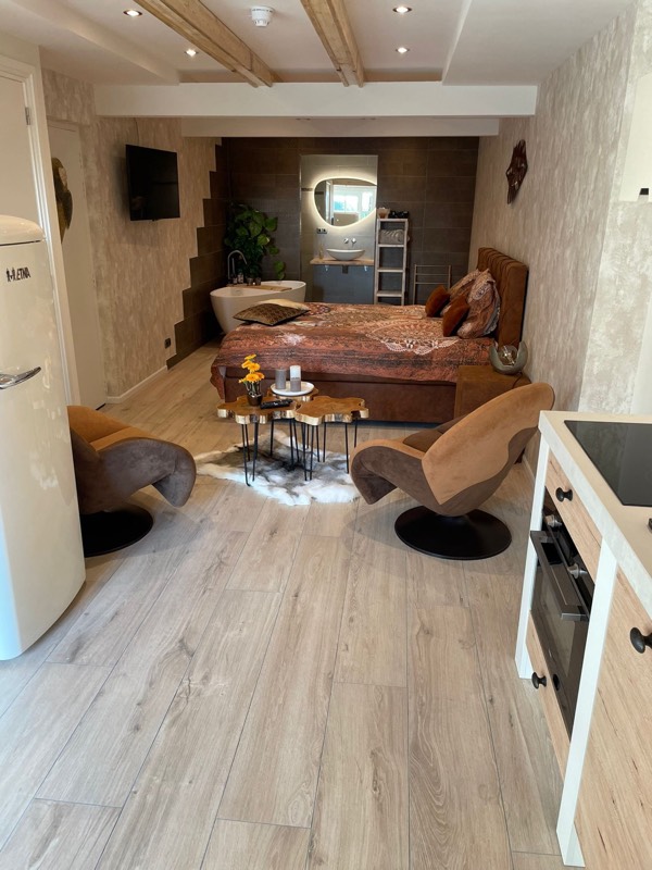 Woonstudio met een tegelvloer in houtlook en een open badkamer